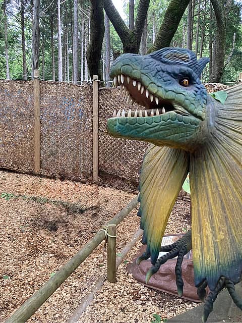 三島スカイウォークの写真