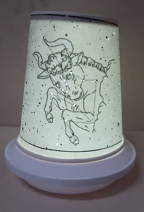 天文台まつりの写真