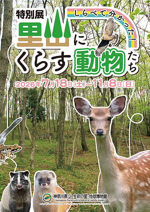 第147回 サロン・ド・小田原 里山の動物-自動撮影カメラがとらえた動物たちのくらし-の写真