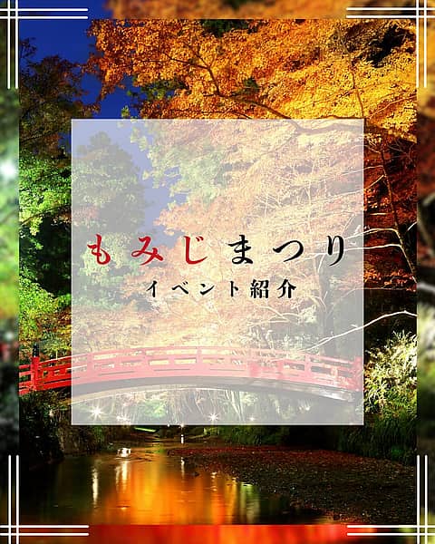 小國神社 もみじまつりの写真