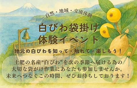 幻と呼ばれる「白びわ」を未来へつなぐ体験イベントの写真