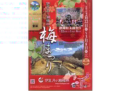 伊豆月ヶ瀬梅林 梅まつりの写真