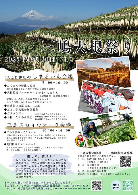 坂もの野菜祭り～三嶋大根祭り～の写真