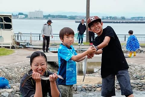 うなぎつかみ&かば焼き体験、さかなつかみ体験、釜揚げしらす体験の写真