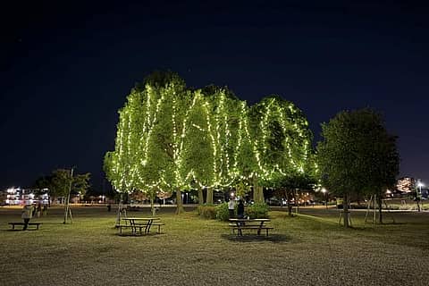 ピックヨウル〜海の街のクリスマスマーケット2025〜の写真