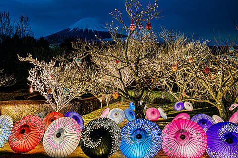 ふじさん紙と灯りのページェントの写真