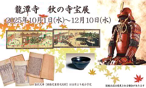 龍潭寺庭園 夜間特別公開の写真