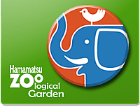 モルモットに勤労感謝のおやつプレートプレゼントの写真