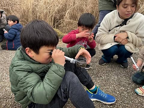 ホタルの幼虫 放流会の写真