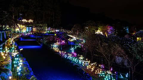 時之栖イルミネーション2025-2026「ひかりのすみか」の写真
