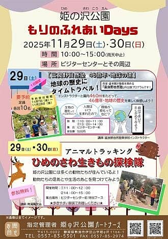 姫の沢公園 クリスマスイベント（ピザ作り＆工作）の写真