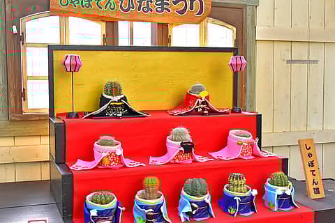 第十三回しゃぼてんひなまつりの写真