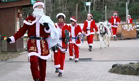 クリスマス動物パレードの写真