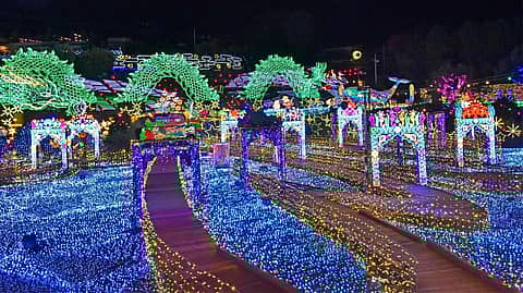 伊豆高原グランイルミ~11thシーズン~の写真