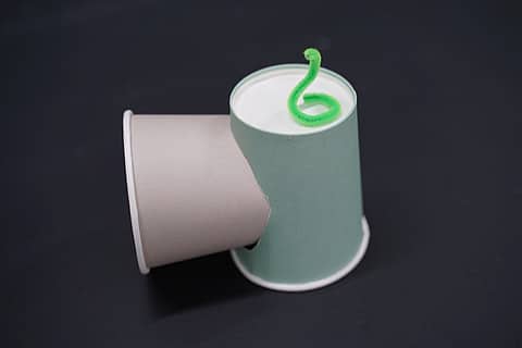 ダンシングスネークの写真