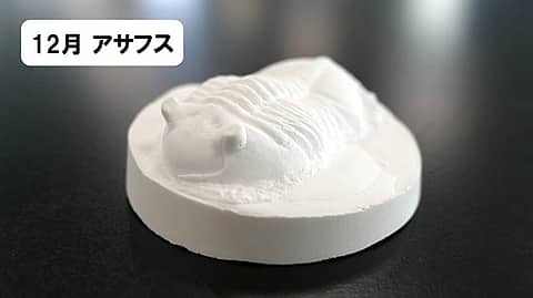 わくわく科学工作「化石のレプリカ~三葉虫1~」の写真