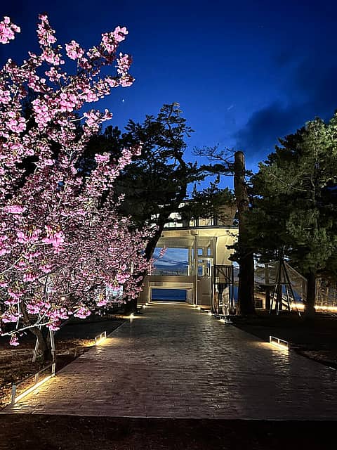 第11回土肥桜まつりの写真