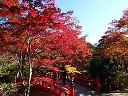 熱海梅園の紅葉の写真