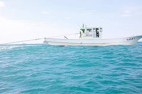 遠州しらすフェス2025の写真