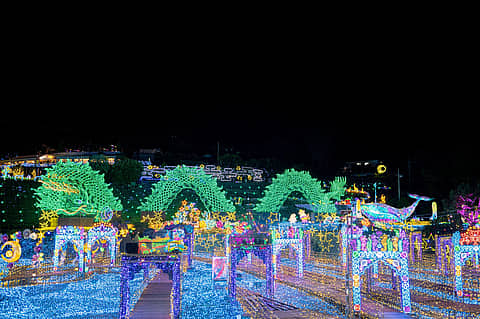 伊豆高原グランイルミ ~11th SEASON~の写真