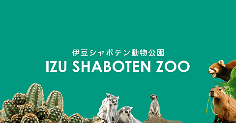 元祖カピバラの露天風呂の写真