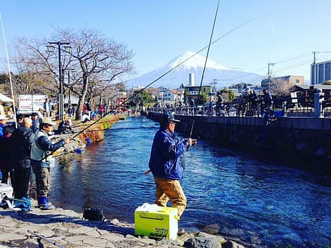 富士宮ますつり大会の写真