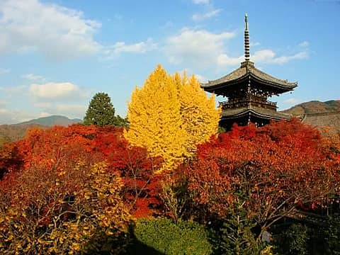 涅槃堂公開の写真