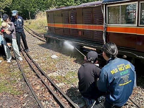 修善寺 虹の郷(匠の村 もみじ林)の紅葉の写真
