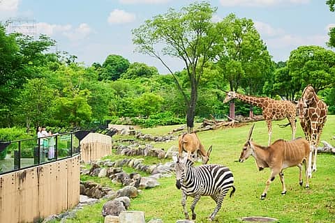 よこはま動物園ズーラシアの写真