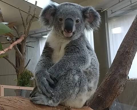 横浜市立金沢動物園の写真