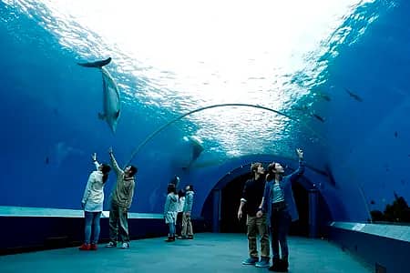 横浜・八景島シーパラダイスの写真