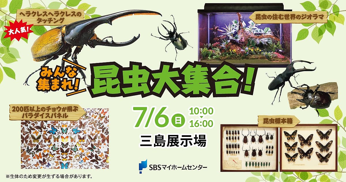 みんな集まれ!昆虫大集合!