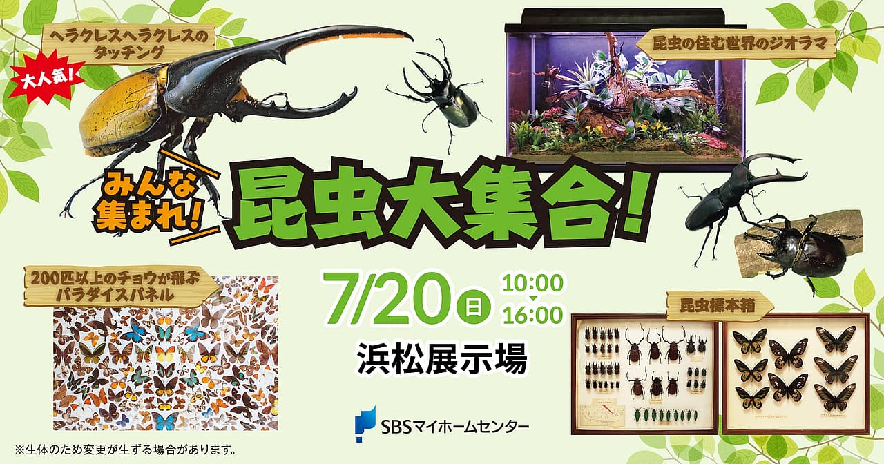 みんな集まれ！昆虫大集合！