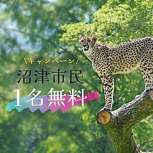 富士サファリパーク 沼津市民《1名無料》キャンペーン