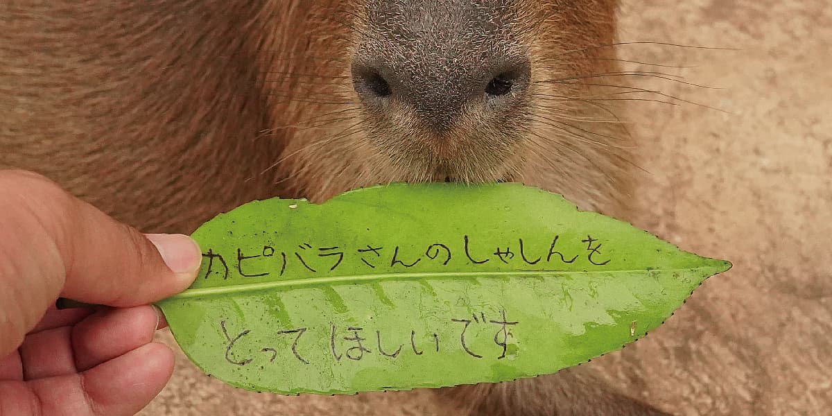 「七夕」スペシャルイベントの写真