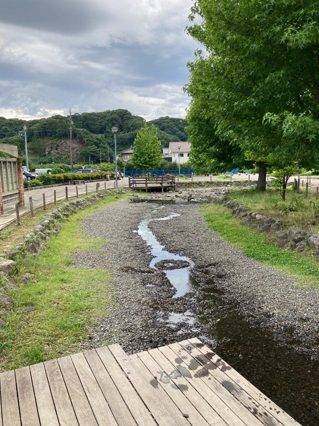 狩野川リバーサイドパークの写真 3