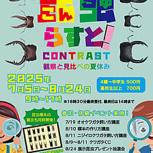 カブトムシ・クワガタ展「こんちゅらすと！」-観察と見比べの夏休み-