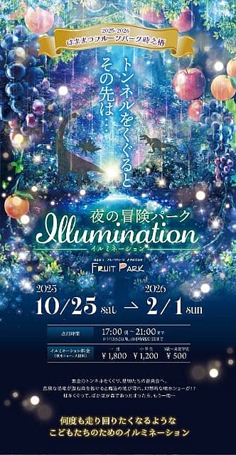 2025-26 ウィンターイルミネーションの写真