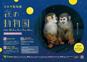 日本平動物園 夜の動物園2025