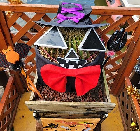 伊豆シャボテン動物公園 ハロウィンイベント 2025の写真