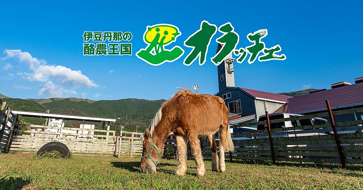 酪農王国オラッチェ とうもろこし畑の巨大迷路