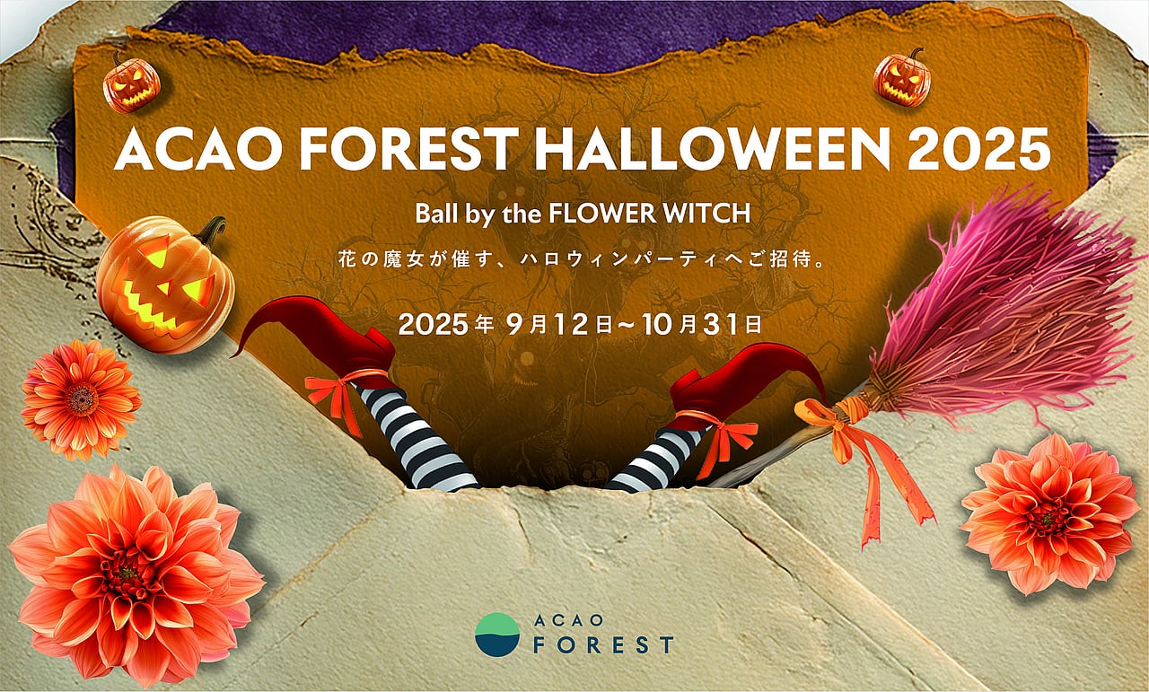 ACAO FOREST HALLOWEEN 2025