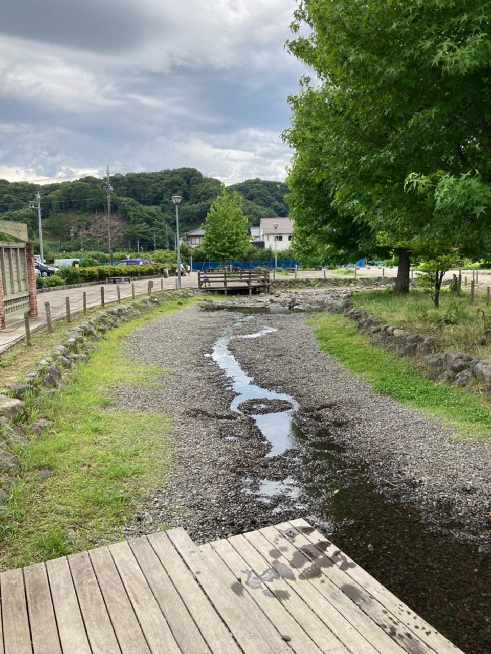 狩野川リバーサイドパーク 画像3