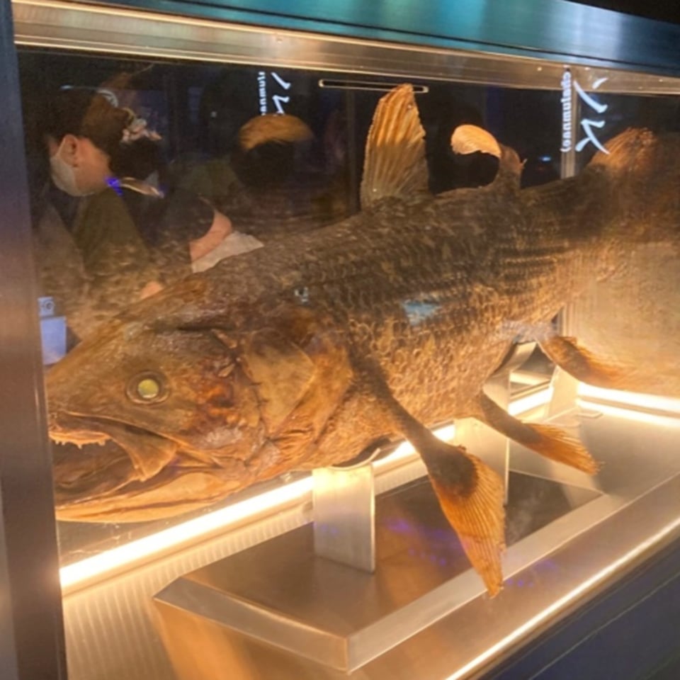 沼津港深海水族館~シーラカンス・ミュージアム~ 画像3