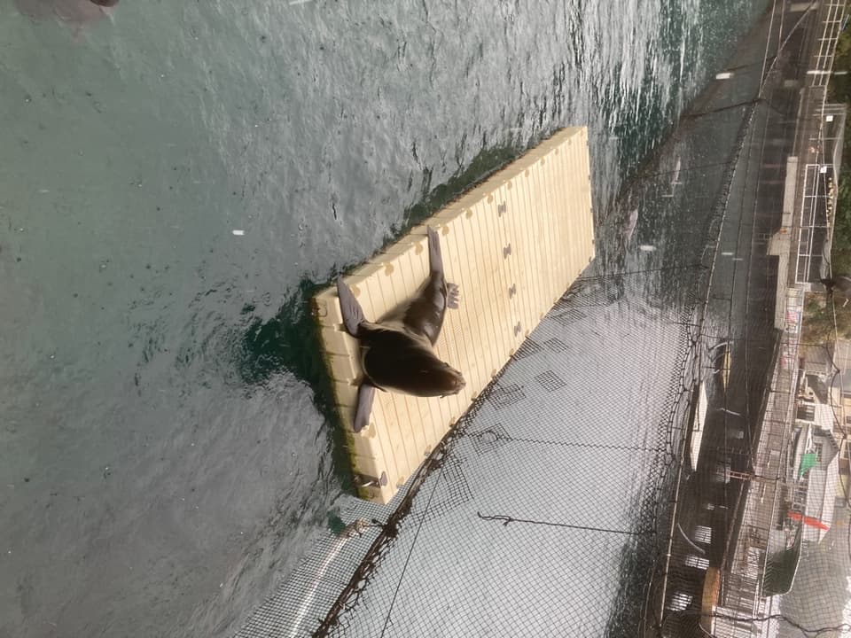 伊豆・三津シーパラダイス