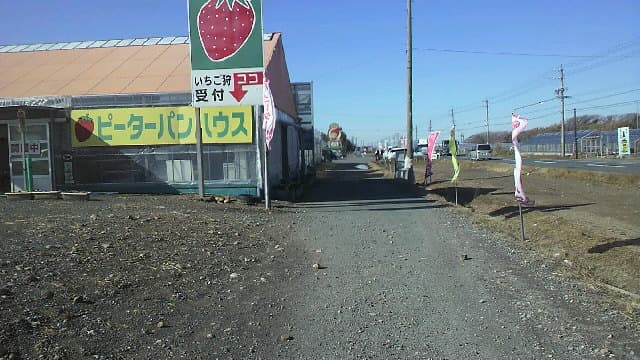 いちご狩り<いちごのピーターパンハウス>