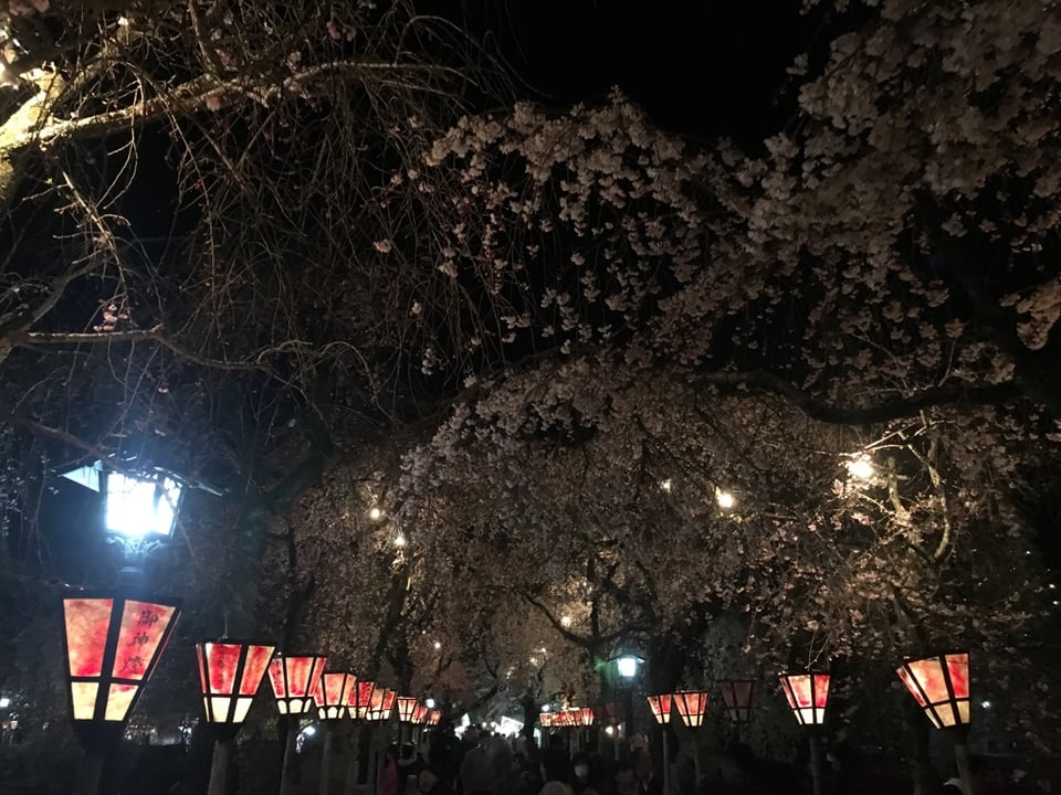 三嶋大社 画像2