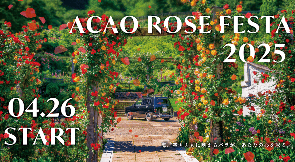 ACAO ROSE FESTA 2025画像