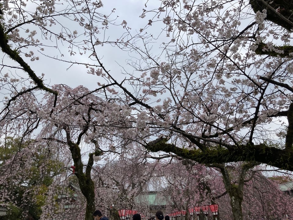 三嶋大社 画像3