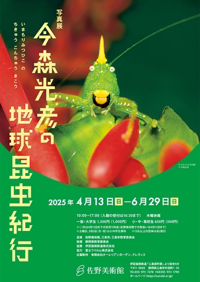 写真展 今森光彦の地球昆虫紀行画像